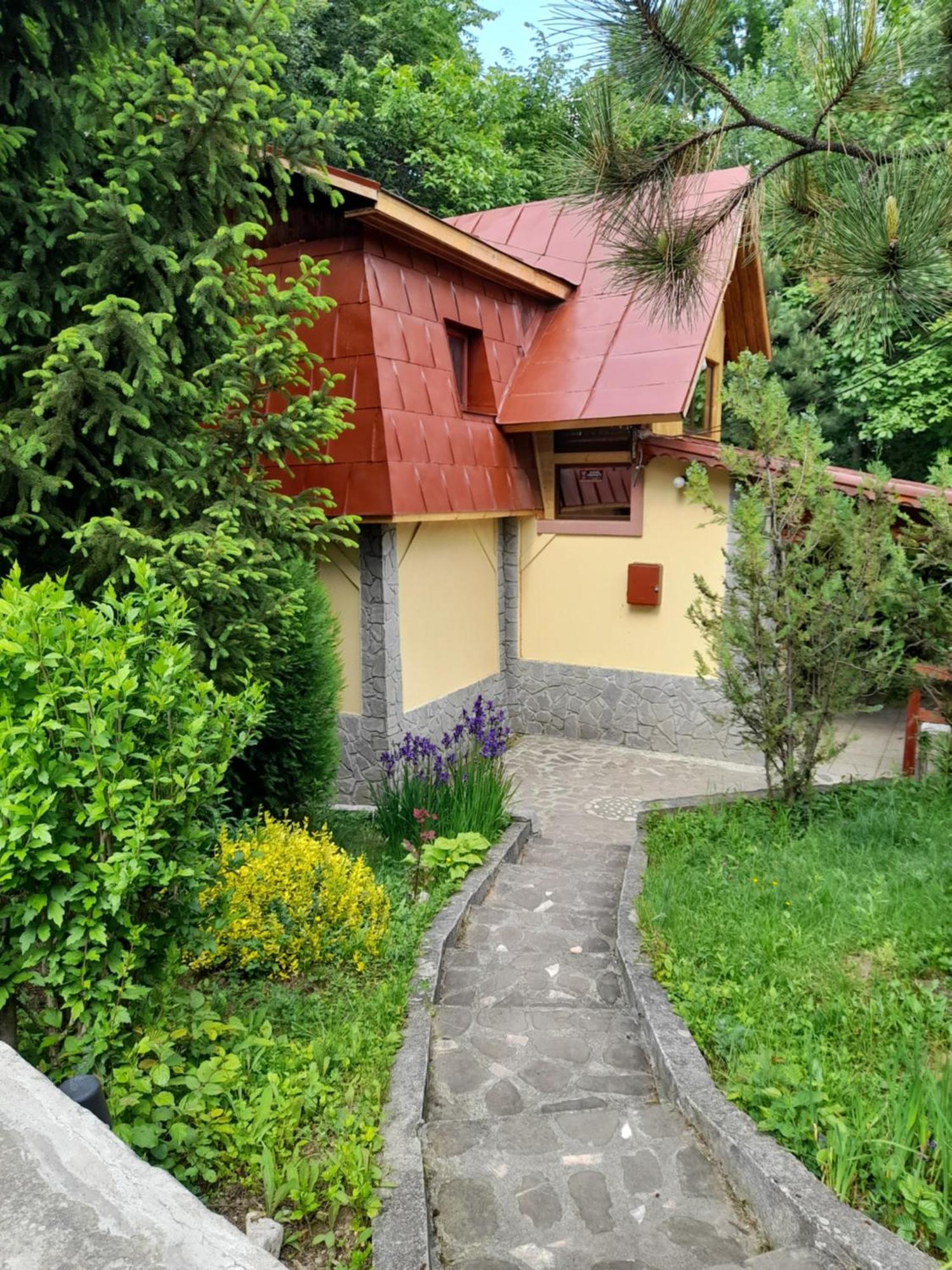 Cabana Din Padurea Valeni Valenii de Munte Exterior photo